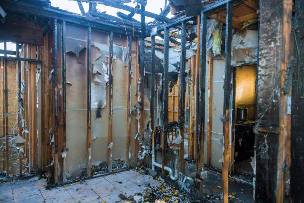 Professional Fire Damage Removal technician working in East Quincy, CA